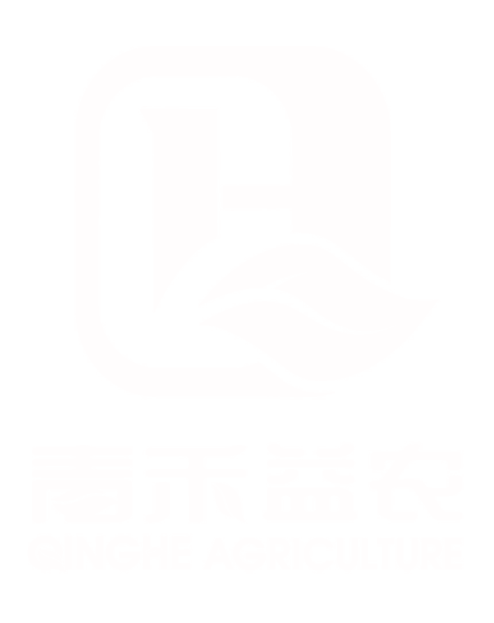荷兰安纳姆国际化工有限公司logo